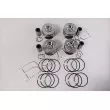 Piston RED-LINE 20HY043 - Visuel 1