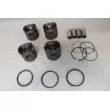 Piston RED-LINE 20NI007 - Visuel 1