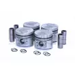 Piston RED-LINE 20NI016 - Visuel 1