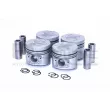 Piston RED-LINE 20NI017 - Visuel 1