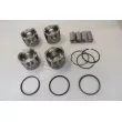 Piston RED-LINE 20NI043 - Visuel 1