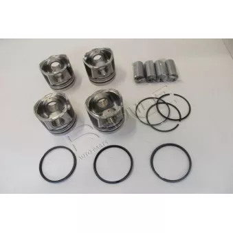 Piston RED-LINE 20NI043