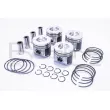Piston RED-LINE 20NI063 - Visuel 1