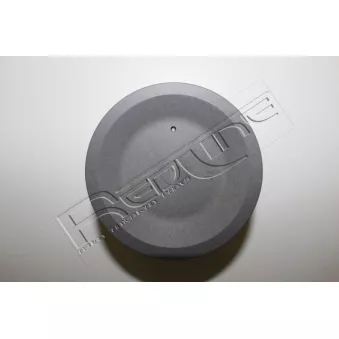 Piston RED-LINE 20NI074