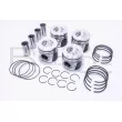 Piston RED-LINE 20NI076 - Visuel 1