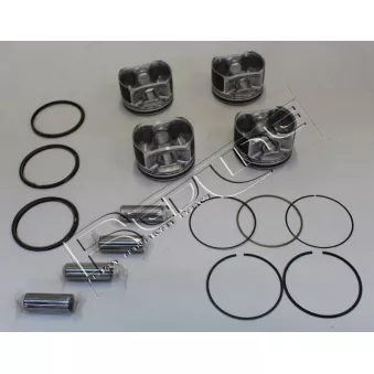 Piston RED-LINE 20NI094