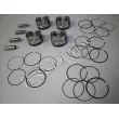 Piston RED-LINE 20NI100 - Visuel 1