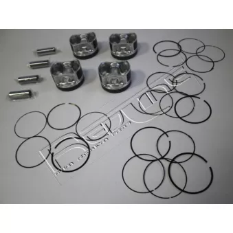 Piston RED-LINE 20NI100