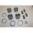 Piston RED-LINE 20NI101 - Visuel 1