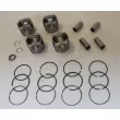 Piston RED-LINE 20NI107 - Visuel 1