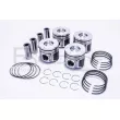 Piston RED-LINE 20SS003 - Visuel 1