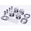 Piston RED-LINE 20TO026 - Visuel 1