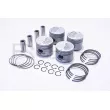 Piston RED-LINE 20TO039 - Visuel 1