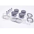 Piston RED-LINE 20TO060 - Visuel 1