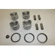 Piston RED-LINE 20TO100 - Visuel 1