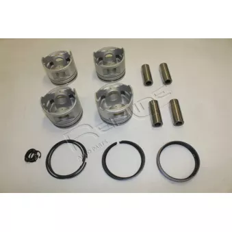 Piston RED-LINE 20TO100