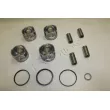 Piston RED-LINE 20TO101 - Visuel 1