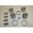 Piston RED-LINE 20TO102 - Visuel 1