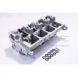 Culasse de cylindre RED-LINE 21VW000 - Visuel 1