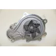 Pompe à eau, refroidissement du moteur RED-LINE 28CH004 - Visuel 3