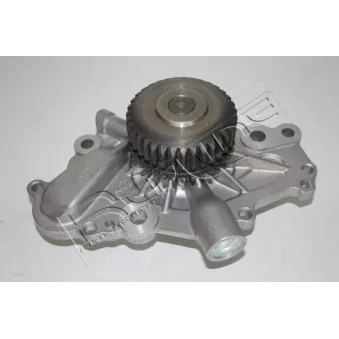 Pompe à eau, refroidissement du moteur RED-LINE 28CH010