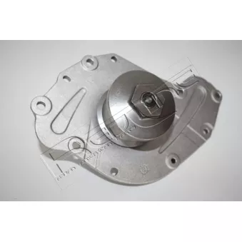 Pompe à eau, refroidissement du moteur RED-LINE 28CH012