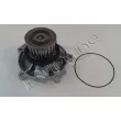 Pompe à eau, refroidissement du moteur RED-LINE 28CH015 - Visuel 1