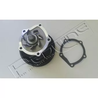 Pompe à eau, refroidissement du moteur RED-LINE