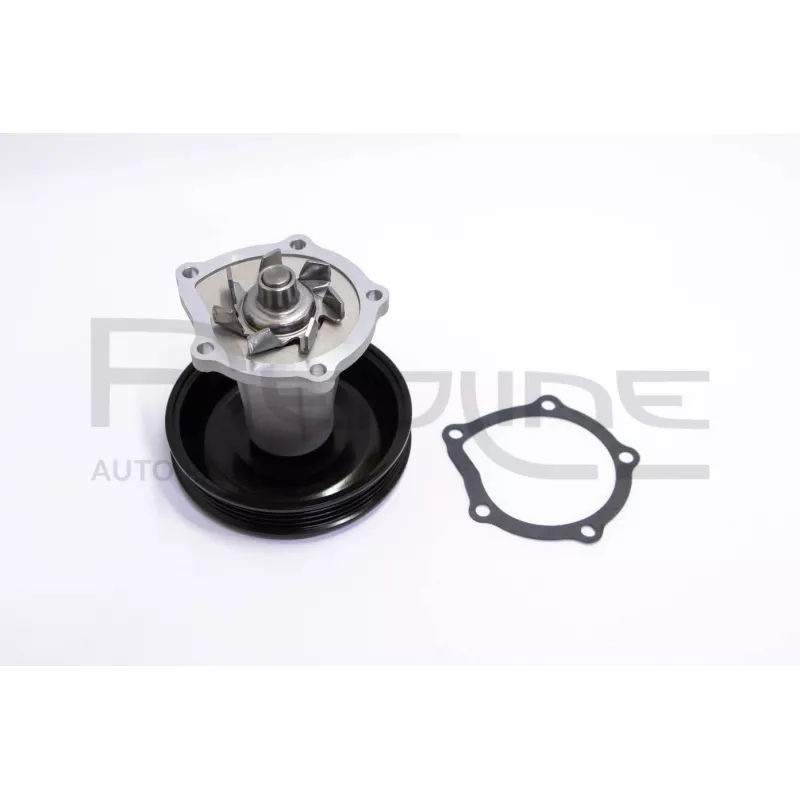 Pompe à eau, refroidissement du moteur RED-LINE 28CV013