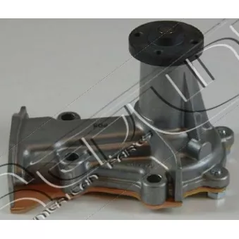 Pompe à eau, refroidissement du moteur RED-LINE 28DA008