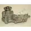 Pompe à eau, refroidissement du moteur RED-LINE 28DA012 - Visuel 2