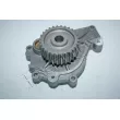 Pompe à eau, refroidissement du moteur RED-LINE 28DR003 - Visuel 1