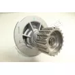 Pompe à eau, refroidissement du moteur RED-LINE 28DW005 - Visuel 1