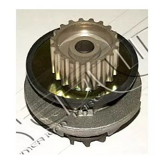 Pompe à eau, refroidissement du moteur RED-LINE 28DW007