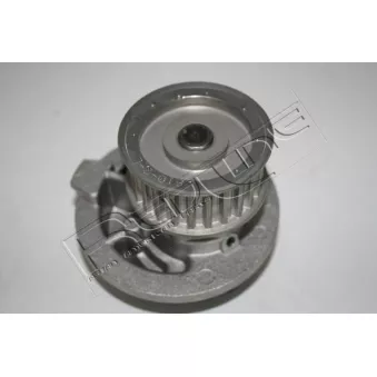 Pompe à eau, refroidissement du moteur RED-LINE 28DW008