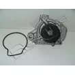 Pompe à eau, refroidissement du moteur RED-LINE 28HO008 - Visuel 1