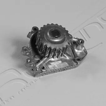Pompe à eau, refroidissement du moteur RED-LINE 28HO013