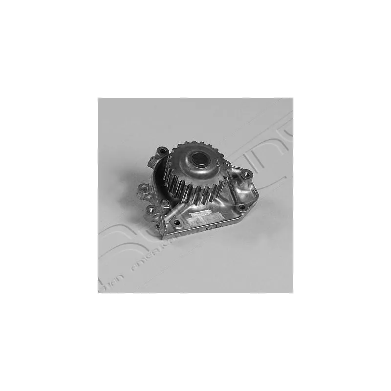 Pompe à eau, refroidissement du moteur RED-LINE 28HO013