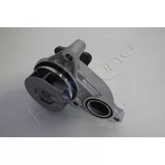 Pompe à eau, refroidissement du moteur RED-LINE