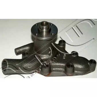 Pompe à eau, refroidissement du moteur RED-LINE