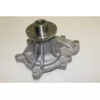Pompe à eau, refroidissement du moteur RED-LINE 28IZ020 - Visuel 3