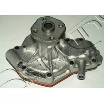 Pompe à eau, refroidissement du moteur RED-LINE 28JE002
