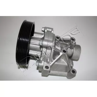 Pompe à eau, refroidissement du moteur RED-LINE 28KI021
