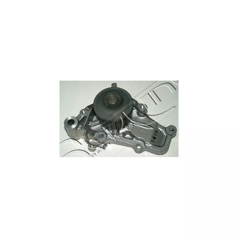 Pompe à eau, refroidissement du moteur RED-LINE 28MI003