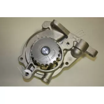 Pompe à eau, refroidissement du moteur RED-LINE 28MZ013