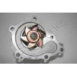 Pompe à eau, refroidissement du moteur RED-LINE 28MZ017 - Visuel 2