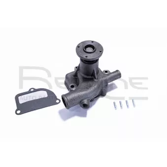 Pompe à eau, refroidissement du moteur RED-LINE 28NI063