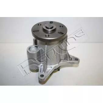 Pompe à eau, refroidissement du moteur RED-LINE 28RV019