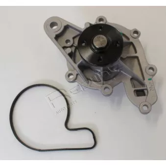 Pompe à eau, refroidissement du moteur RED-LINE