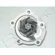 Pompe à eau, refroidissement du moteur RED-LINE 28SZ009 - Visuel 2